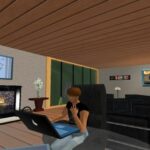 Developing a Second Life