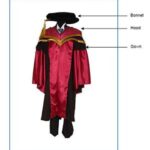 Are PhD graduates expecting too much?